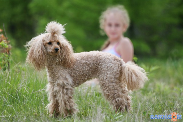 лето

Просмотров: 2019
Комментариев: 0