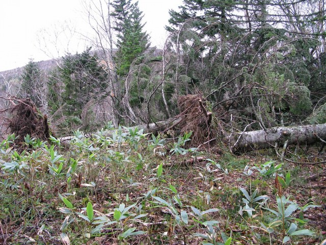 Роська: завал.

Просмотров: 635
Комментариев: 0