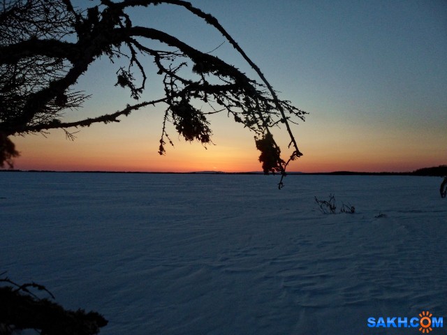 SAM_7017_DxO