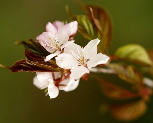DSC04909
Фотограф: Сергей Буркацкий

Просмотров: 397
Комментариев: 0