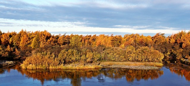 Золотая осень
Фотограф: Photohunter

Просмотров: 1734
Комментариев: 5