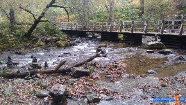 P_20201004_114512

Просмотров: 387
Комментариев: 0