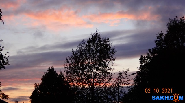 DSC06067