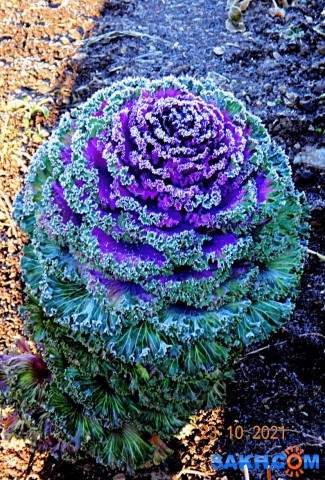 DSC06904

Просмотров: 462
Комментариев: 0