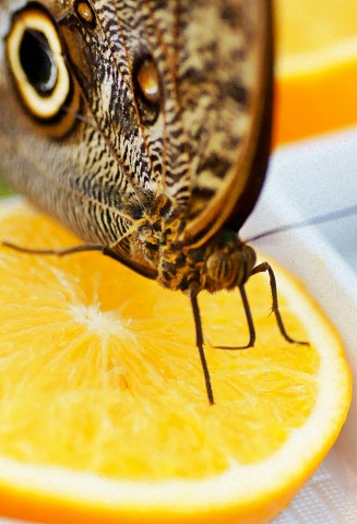 ***
Фотограф: Сергей Буркацкий

Просмотров: 743
Комментариев: 0