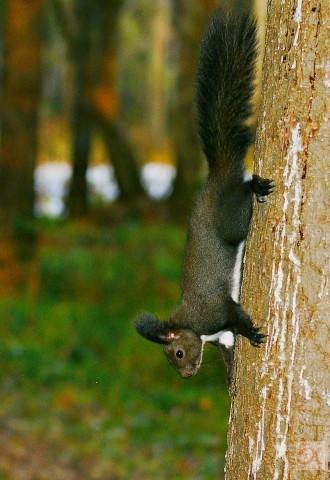 ***
Фотограф: Сергей Буркацкий

Просмотров: 1676
Комментариев: 0