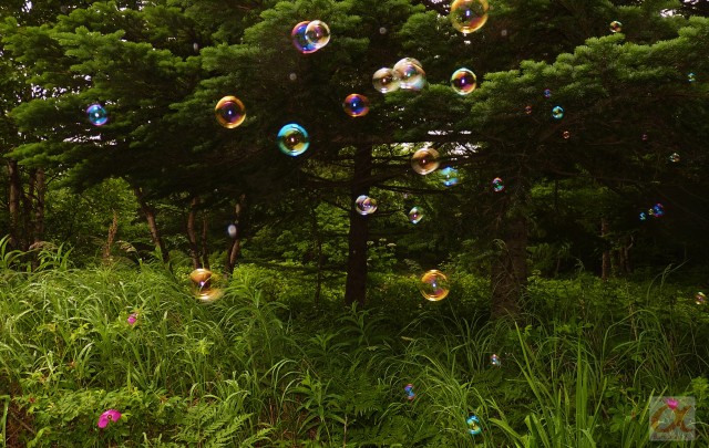 ***
Фотограф: Сергей Буркацкий

Просмотров: 689
Комментариев: 0