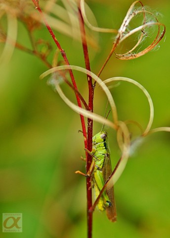 DSC03398
Фотограф: Сергей Буркацкий

Просмотров: 801
Комментариев: 0