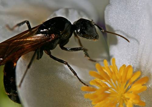 DSC05505
Фотограф: Сергей Буркацкий

Просмотров: 315
Комментариев: 0