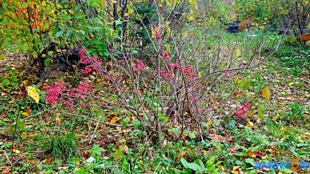 DSC08030

Просмотров: 638
Комментариев: 0