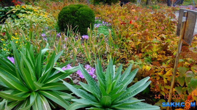 DSC08011

Просмотров: 388
Комментариев: 0