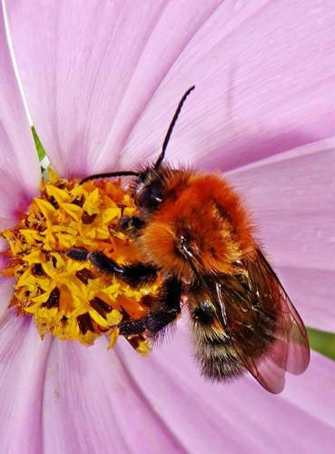 DSC03647
Фотограф: Сергей Буркацкий

Просмотров: 497
Комментариев: 0