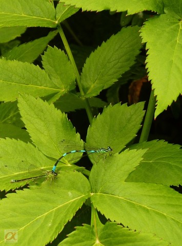 ***
Фотограф: Сергей Буркацкий

Просмотров: 670
Комментариев: 0