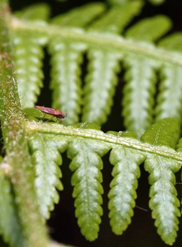 DSC07463
Фотограф: Сергей Буркацкий

Просмотров: 464
Комментариев: 0