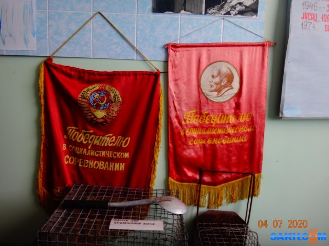 DSC02584
