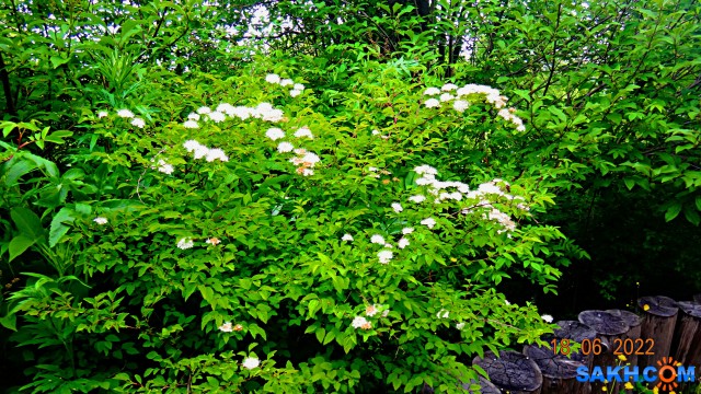 DSC09866

Просмотров: 287
Комментариев: 0