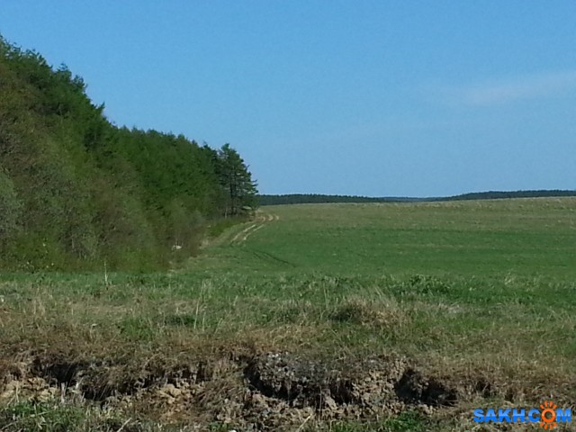 20140520_172405