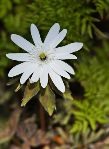 ***
Фотограф: Сергей Буркацкий

Просмотров: 983
Комментариев: 0