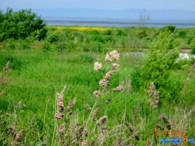 Соловьёвка - приморское село.