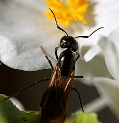 DSC05496
Фотограф: Сергей Буркацкий

Просмотров: 365
Комментариев: 0