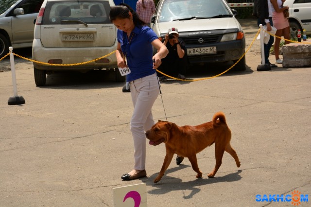 DSC_0177 (1280x853)
Фотограф: Vitus

Просмотров: 318
Комментариев: 0