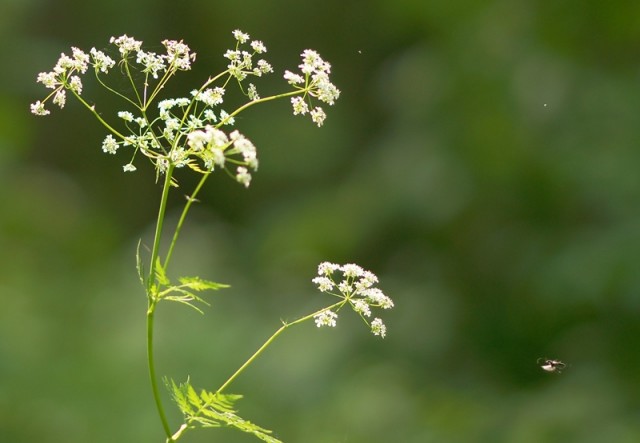 ***
Фотограф: Сергей Буркацкий

Просмотров: 870
Комментариев: 0