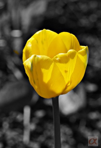 Арт-фильтр2_

Просмотров: 1193
Комментариев: 0