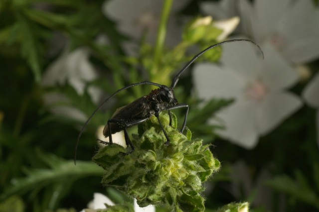 DSC01818
Фотограф: Сергей Буркацкий

Просмотров: 361
Комментариев: 0