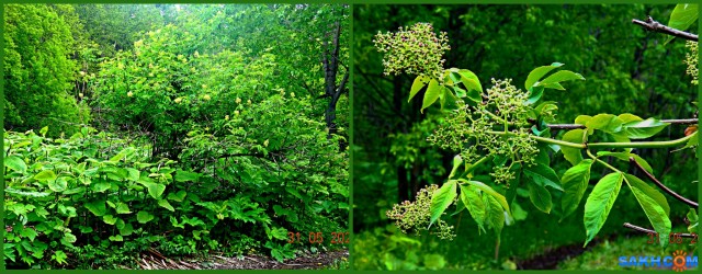 MyCollages

Просмотров: 426
Комментариев: 0