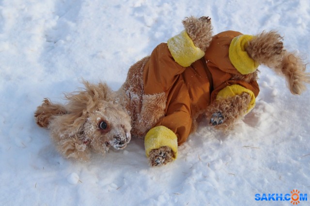 К пурге

Просмотров: 799
Комментариев: 0