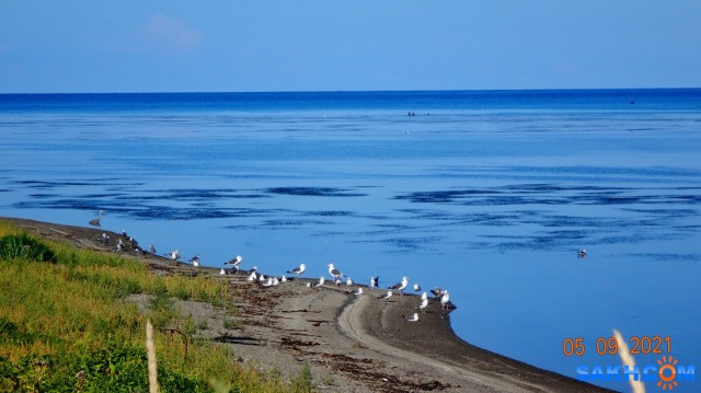 DSC05332
Чайки.

Просмотров: 248
Комментариев: 0