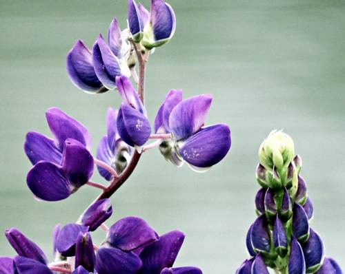 DSC00414
Фотограф: Сергей Буркацкий

Просмотров: 848
Комментариев: 0