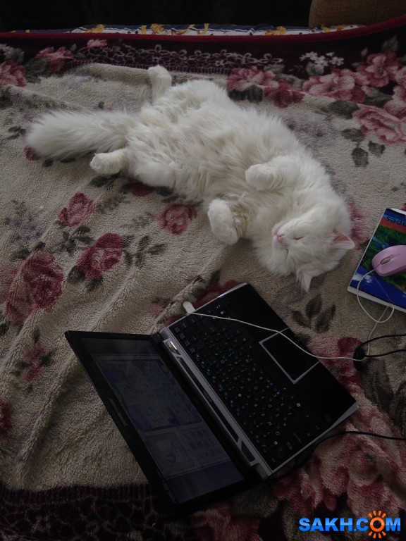 i (16)

Просмотров: 1300
Комментариев: 0