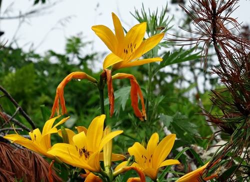 DSC00181
Фотограф: Сергей Буркацкий

Просмотров: 503
Комментариев: 0