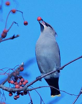 Фото 1008
Фотограф: Сергей Буркацкий

Просмотров: 480
Комментариев: 0