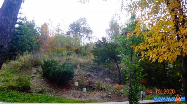 DSC08046

Просмотров: 464
Комментариев: 0