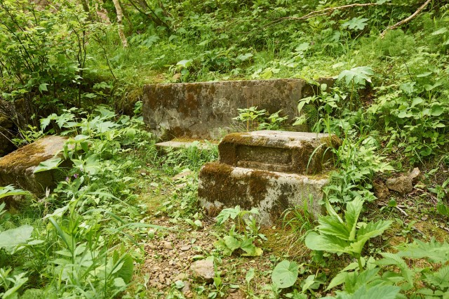 DSC04082