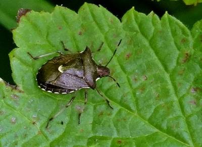 DSC00125
Фотограф: Сергей Буркацкий

Просмотров: 393
Комментариев: 0