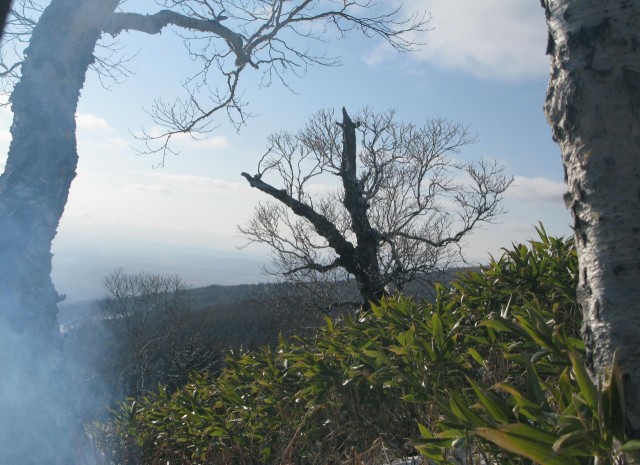 bamboo-2014

Просмотров: 498
Комментариев: 0