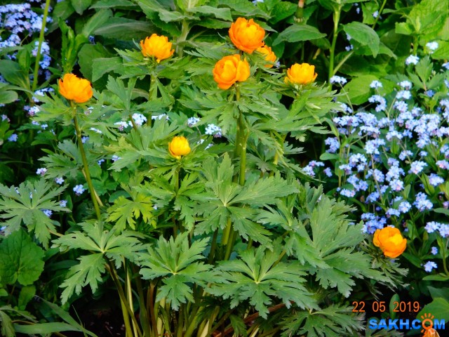 DSC07017

Просмотров: 806
Комментариев: 0