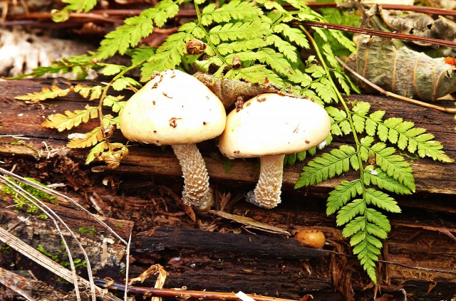 ***
Фотограф: Сергей Буркацкий

Просмотров: 1062
Комментариев: 0