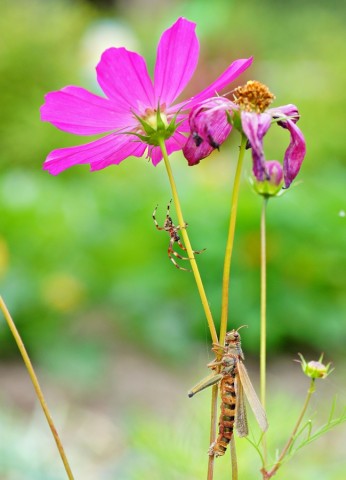 ***
Фотограф: Сергей Буркацкий

Просмотров: 537
Комментариев: 0