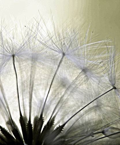 DSC05362
Фотограф: Сергей Буркацкий

Просмотров: 367
Комментариев: 0