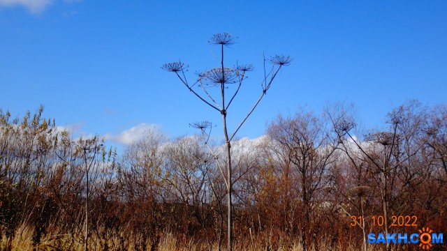 DSC05310