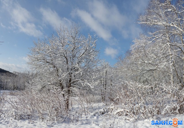 075-пан

Просмотров: 587
Комментариев: 0
