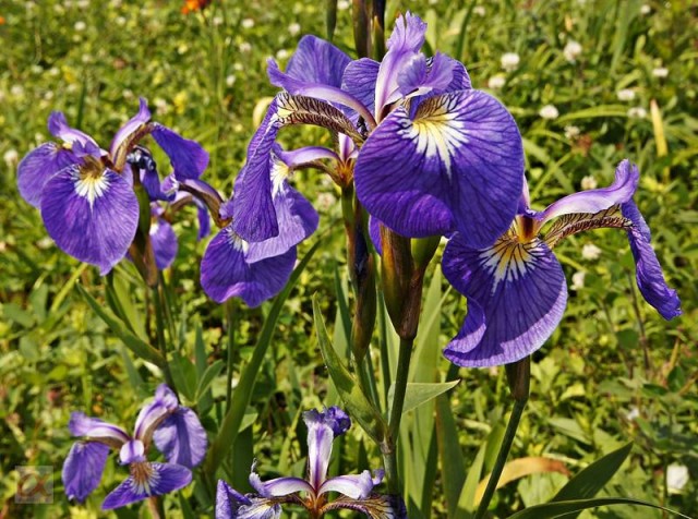 ***

Просмотров: 778
Комментариев: 0