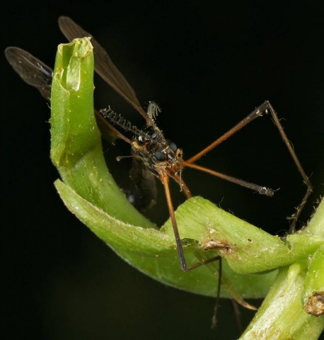 DSC02013
Фотограф: Сергей Буркацкий

Просмотров: 446
Комментариев: 0