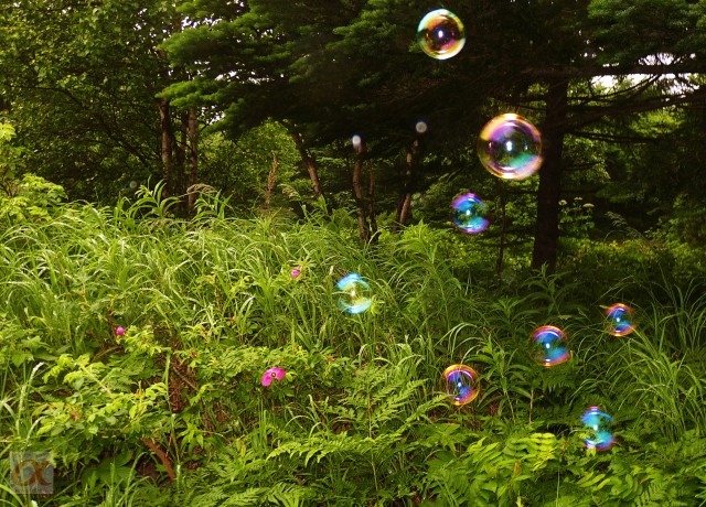 ***
Фотограф: Сергей Буркацкий

Просмотров: 728
Комментариев: 0