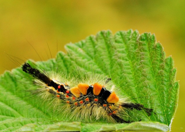 ***
Фотограф: Сергей Буркацкий

Просмотров: 762
Комментариев: 0