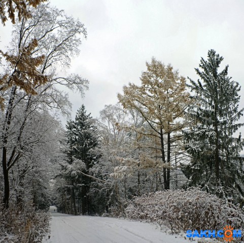 075-пан-к

Просмотров: 693
Комментариев: 0
